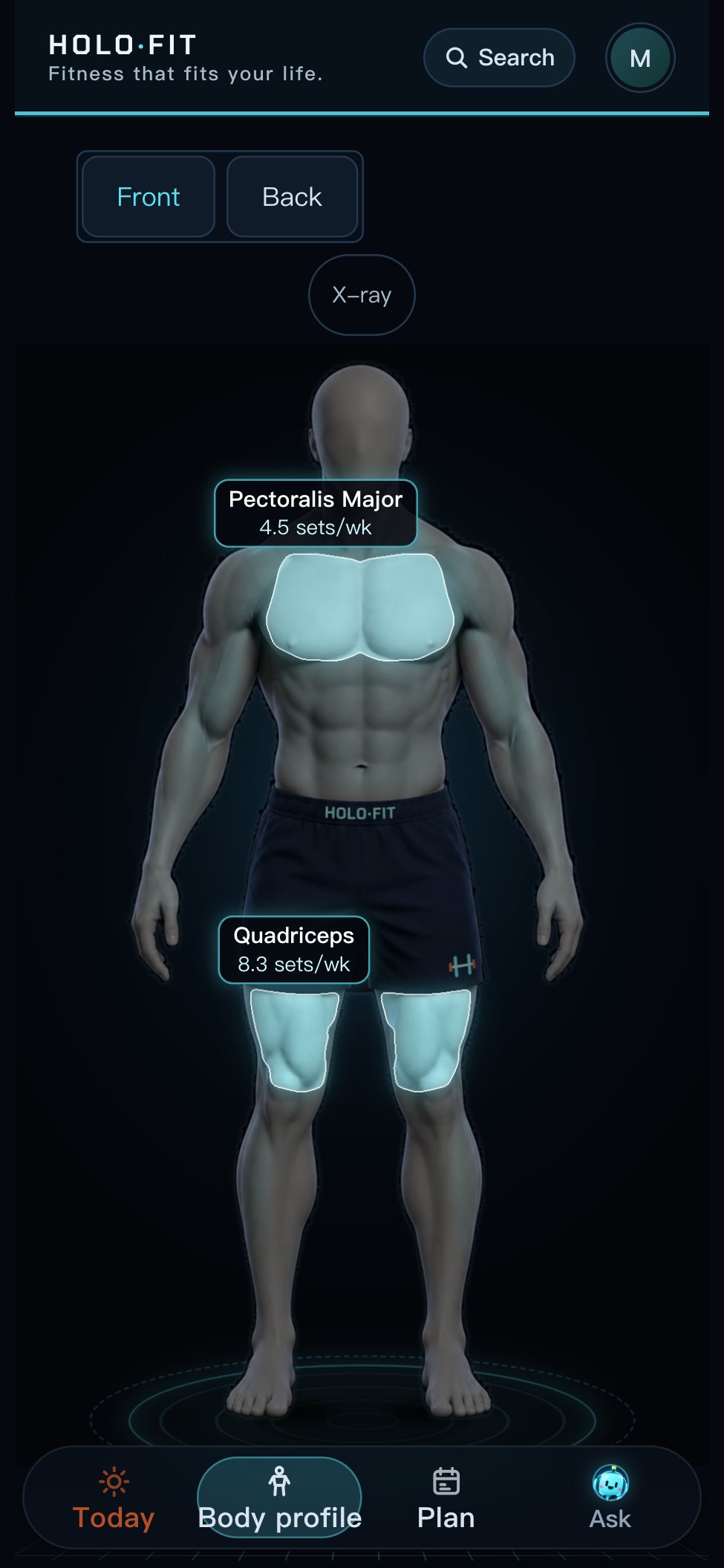 Body profile with chest and quadriceps marked