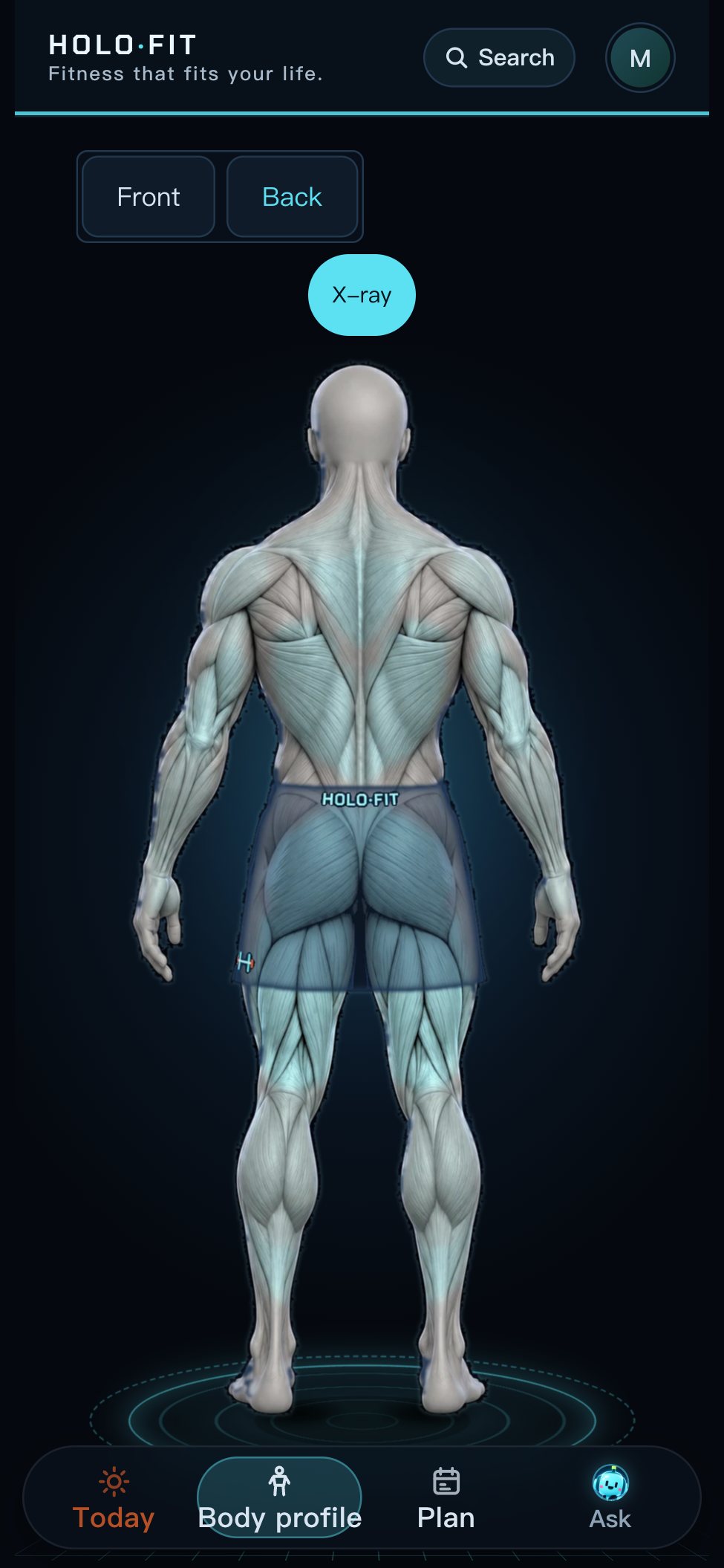 X-ray view of the back: the muscles under the shorts are visible, lit up where they were trained